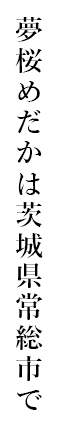 夢桜めだかは茨城県常総市で